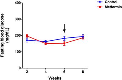 Metformin Alleviates Airway Hyperresponsiveness in a Mouse Model of Diet-Induced Obesity